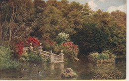 A R QUINTON - SALMON 1639 - BONCHURCH POND IW - Quinton, AR