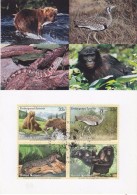 United Nations New York 2000 Animals / Endangered Species 4v Maxicard (32472) - Cartes-maximum