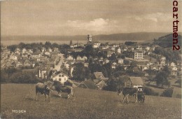 HEIDEN ALPAGE VACHE PRAIRIE CARL KÜNZLI-TOBLER ZÜRICH SUISSE - Heiden