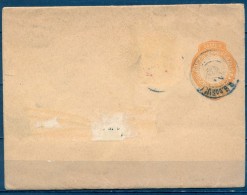 BRASIL 1894 , FAJA PARA PRENSA , RIO GRANDE DO SUL - Lettres & Documents