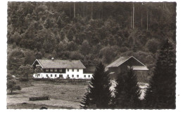 Deutschland - 8371 Eulenhof Bei Achslach - Bayer. Wald - Pension Cafe - Regen