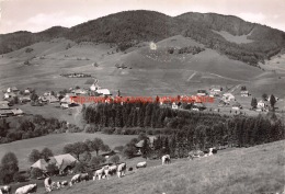 Hochschwarzwald Bernau - Bernau