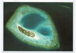 MALDIVES - NACATCHA (PHOTO MICHAEL FRIEDEL No 23/63) / THEMATIC STAMP-FLOWERS / ROSE - Maldiven