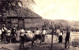 BARBADOS / NATIVE HUT / CIRC 1925 - Barbados