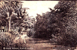 BARBADOS / BIRCH RIVER   / CIRC 1925 - Barbados (Barbuda)