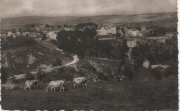 GRANDIEU  VUE GENERALE - Gandrieux Saint Amans