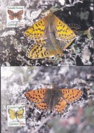 Greenland 3 Maximum Cards Karte 1997 Butterfly Schmetterling Papillon (4 Scans) - Maximumkarten (MC)
