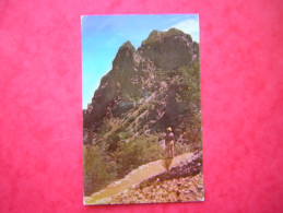 CPSM ETATS UNIS LOST MINE TRAIL BIG BEND NATIONAL PARK TEXAS ANIMEE  VOYAGEE TIMBRE - Big Bend