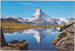 SUISSE,HELVETIA,SWISS,SWITZERLAND,SVIZZERA,SCHWEIZ,ZERMATT ,VALAIS,pic,glacier - Zermatt