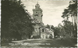 Schöne Aussicht Bei Bad Schmiedeberg - Foto-AK 60er Jahre - Verlag Bernhard Fensch Bad Düben - Bad Schmiedeberg