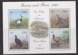 Ireland 1989 Fauna And Flora M/s ** Mnh (32947) - Blocchi & Foglietti