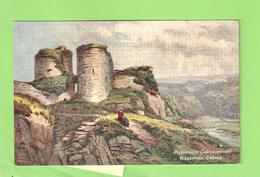 CP PAYS DE GALLE - CARDIGANSHIRE - KILGERRAN CASTLE - (aspect Touche Peinture) - Cardiganshire