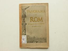 Rom - Panorama 1890 ,  Mit Triumphzug Kaiser Constantin , Geschichte Italien , Italia , Roma - Collections & Lots