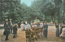 76 - LE HAVRE - ATTELAGE DE BOUC ET CHEVRE - VOITURE D´ ENFANTS SQUARE SAINT ROCH - Square Saint-Roch