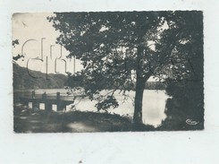 Gouarec (22) : Le Barrage De L'étang Des Forges Des Salles En 1962 PF. - Gouarec