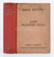 Gaál István: Szép Magyar Tájak. Budapest, 1944, Királyi Magyar... - Autres & Non Classés