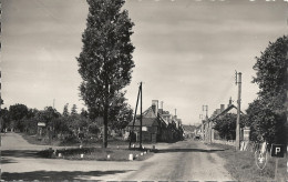 CPSM Droué Rue De Paris - Droue