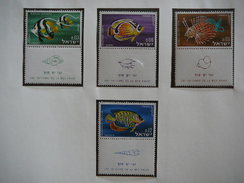 Israel 1962 MNH # Mi. 266/9 Fishes - Unused Stamps (without Tabs)