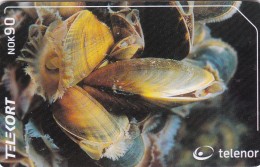 Norway, N207, Blaskjell / Blue Mussel,  2 Scans. - Norwegen