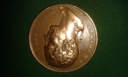 1850, F De Hondt, Oost-Vlaanderen, Exposition Provinciale, 42 Gram (med312) - Souvenir-Medaille (elongated Coins)