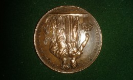 1834, Fete Jubilaire Cinquantieme Salon De Fleurs Gand, 20 Gram (med313) - Elongated Coins
