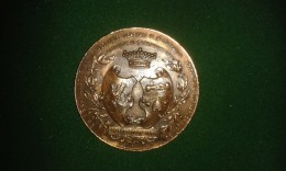 1901, Martin Hautecour, Dinant, 25e Ann. Fraternelle Dinantaise, 46 Gram (med329) - Monedas Elongadas (elongated Coins)