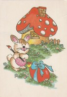 #BV4395   MUSHROOMS, PLANT, NATURE, RABBIT, EASTER, EASTER EGG, POST CARD. - Paddestoelen