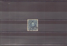 ARGENTINE 1876 / 8 N° 36 OBLITERE - Used Stamps