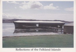 Falkland Islands The Wreck "Charles Cooper"  Postcard Unused (33339) - Falkland Islands