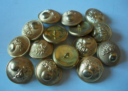 FRANCE - LOT DE 15 BOUTONS MILITAIRES « A LA GRENADE » DIAMETRE 25mm Cuivre - Uniforms