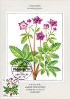 ISLANDE CARTE MAXIMUM NUM YVERT  548  FLEURS  FLORE PROTECTION DE LA NATURE - Cartes-maximum