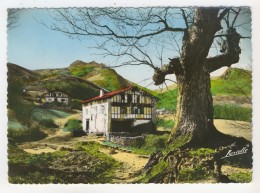 64 - Sare         Paysage Basque - Sare