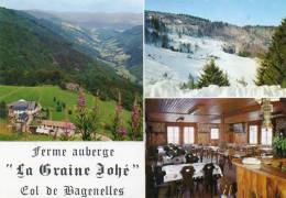 CPSM - Environs De LIEPVRE (68) - Carte Multi-vues De La Ferme-Auberge La Graine Johé Du Col De Bagenelles - Lièpvre