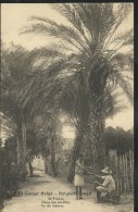 Carte N° 61. Vue 89. M'PALA: Dans Les Jardins. Obl.: 03/01/1924 Pour Bxl-Maritime - Enteros Postales