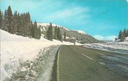 USA - CO - Winter Time On Wolf Creek Pass, On US Highway 160 [San Juan Mountains] - Rocky Mountains