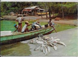 CPSM Guyane écrite Delabergerie G 155 - Autres & Non Classés