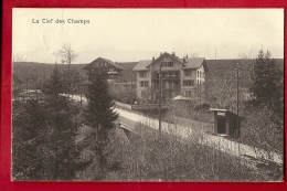 FIZ-00 La Clef Des Champs  Montpreveyres ?  Bavois ?  Cachet Montpreveyres 1925. Editeur Buttet, Ferlens - Montpreveyres