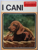 I DOCUMENTARI DE AGOSTINI- I CANI   ( CART 72) - Tiere