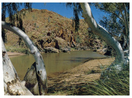 (PF 505) Australia - WA - Hall's Creek (with Stamp At Back Of Postcard) - The Red Centre