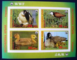 RUSSIE CANARDS, OISEAUX DIVERS, WWF Feuillet émis En 1992, Non Dentelé Et Gommé. Imperf. **. MNH - Eenden