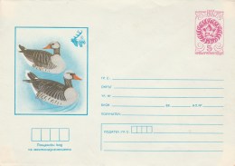 #BV6086 GOOSE, BIRD, ANIMAL, PLOVDIV EXPO, COVER STATIONERY, 1981, BULGARIA. - Geese