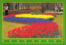 Keukenhof - Lisse