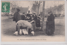 BA /  Paysans Bourbonnais Venus à La Foire ( Avec Cochons : Truie Et Pocelets ) Gros Plan - Marchés