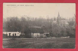 Montrœul-au-Bois - Eglise Et Bois - 1909 ( Voir Verso ) - Frasnes-lez-Anvaing