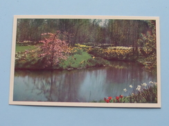 " KEUKENHOF " Lisse-Holland ( Planeta ) Anno 19?? ( Zie Foto Details ) !! - Lisse