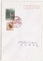 53473- JAPANESE GARDEN, BEETLE, STAMPS ON COVER, 2003, JAPAN - Covers & Documents