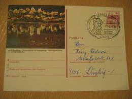 FLAMINGO FLAMANT ZOO Duisburg Essen 1986 Cancel Postal Stationery Card Germany - Flamants