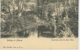 BELGIQUE - Les Environs D' ARLON - HABAY LA NEUVE - Sous Bois Près De PONT D'OIE - Habay