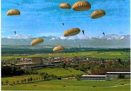 Thème - Transport - Parachustisme - Parachutistes à Altenstadt (allemagne) - Parachutting