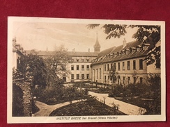 AK Institut Brede Bei Brakel Kreis Höxter 1917 - Brakel